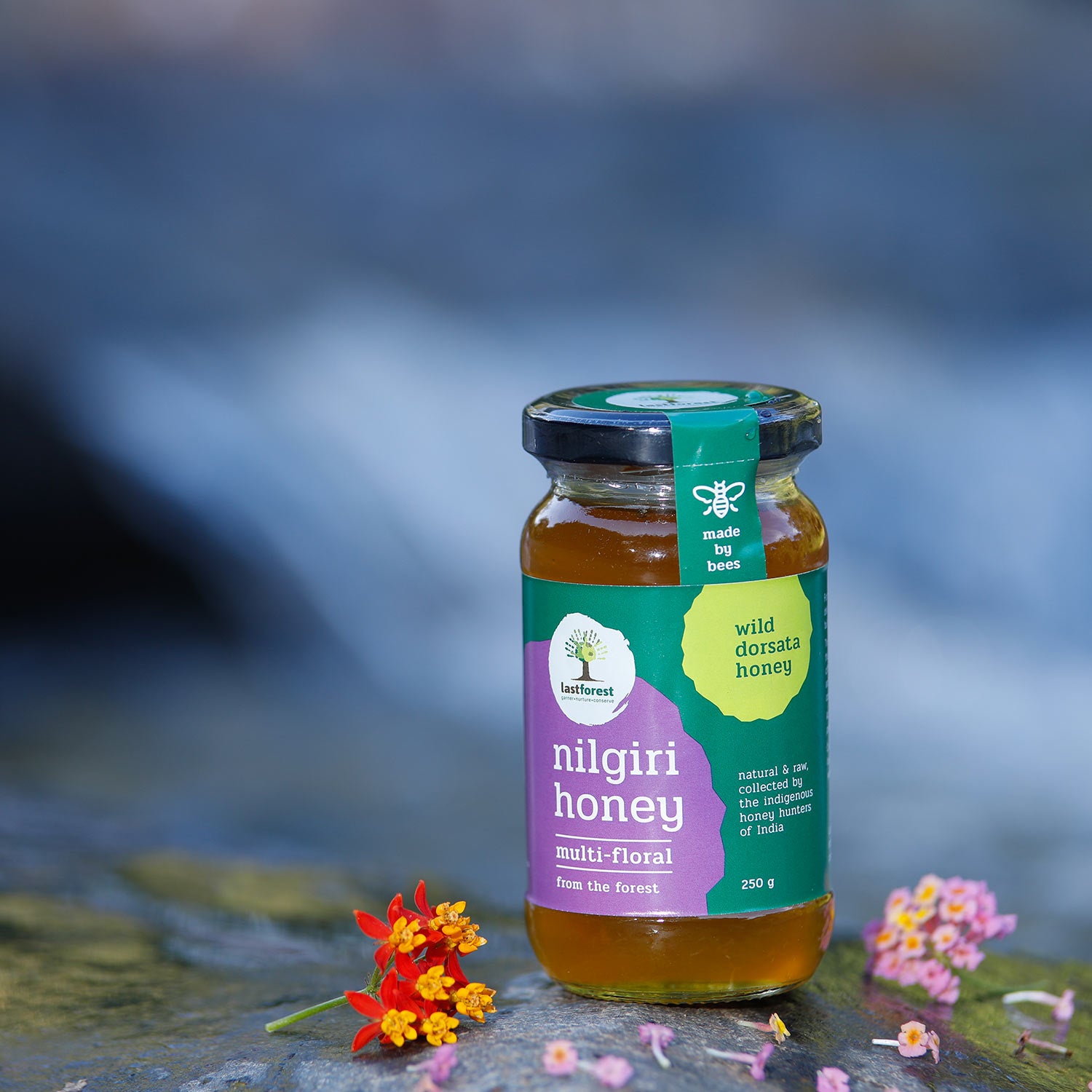 Last Forest Nilgiri Wild Honey