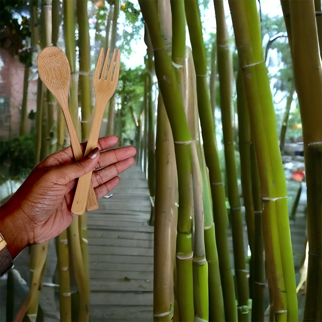 Comorin Coconuts Eco-Friendly Bamboo Spoon & Fork Set