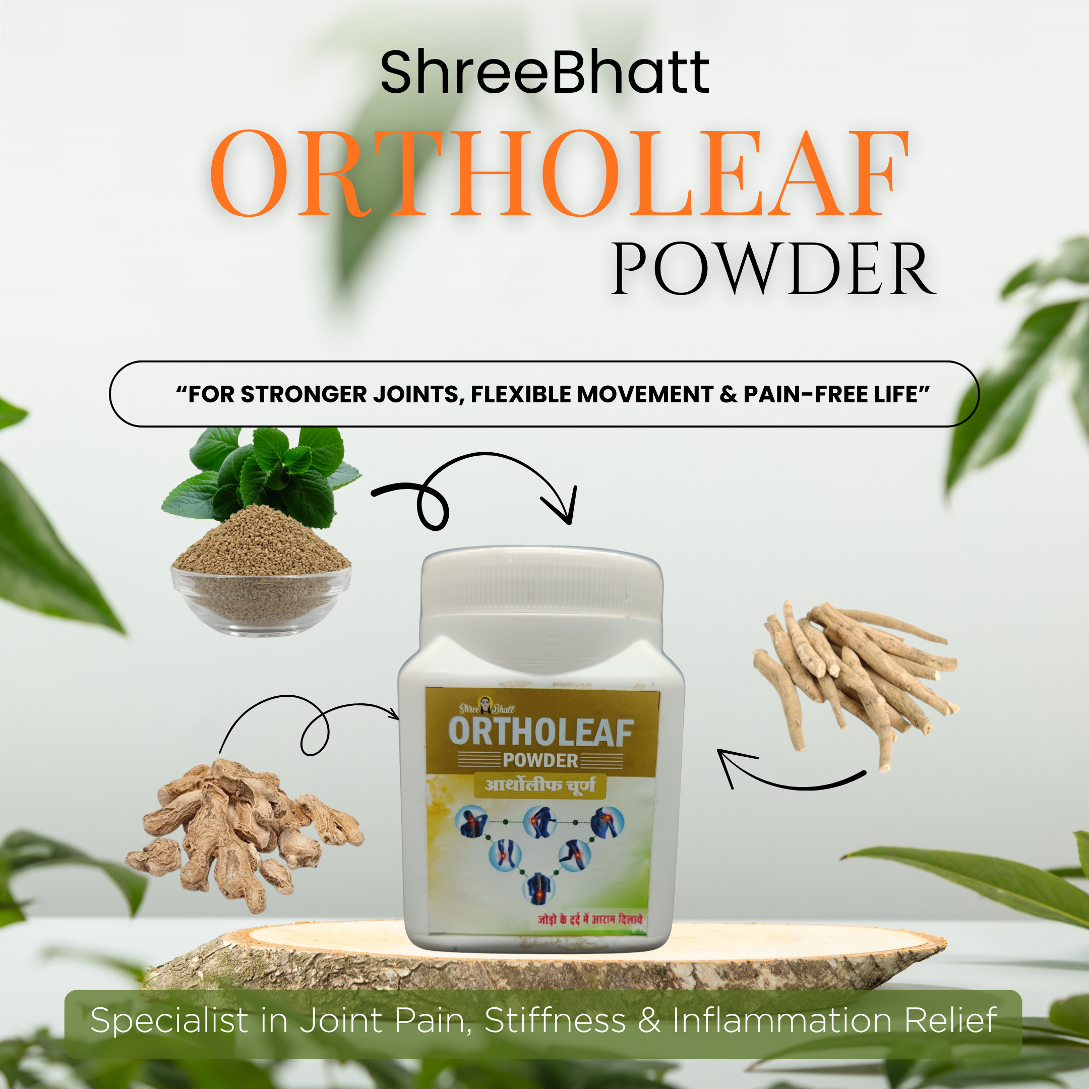 ShreeBhatt Ortholeaf Powder 100 Gm