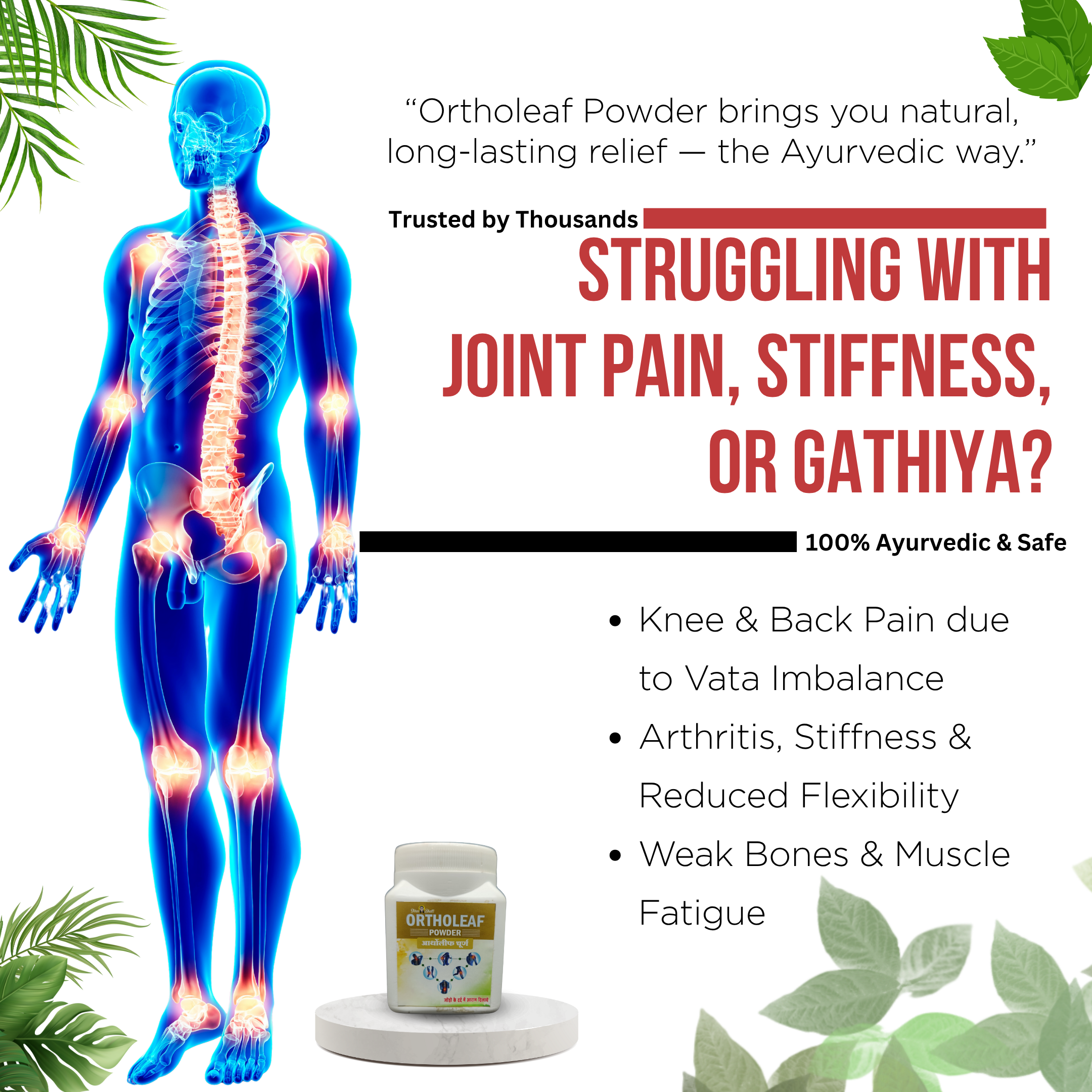 ShreeBhatt Ortholeaf Powder 100 Gm