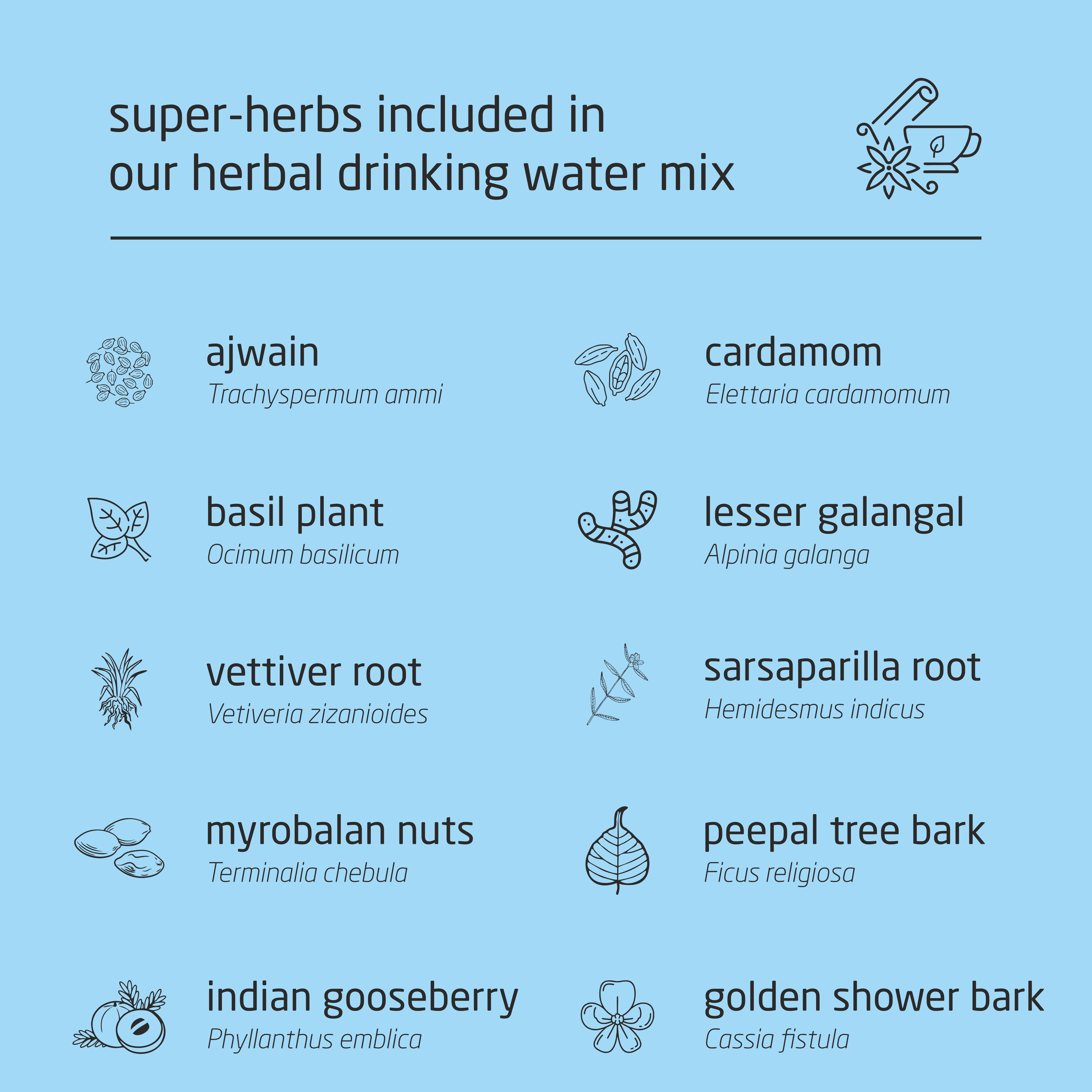 Feel Sattvic Super-Premium Herbal Drinking Water Mix - 50g