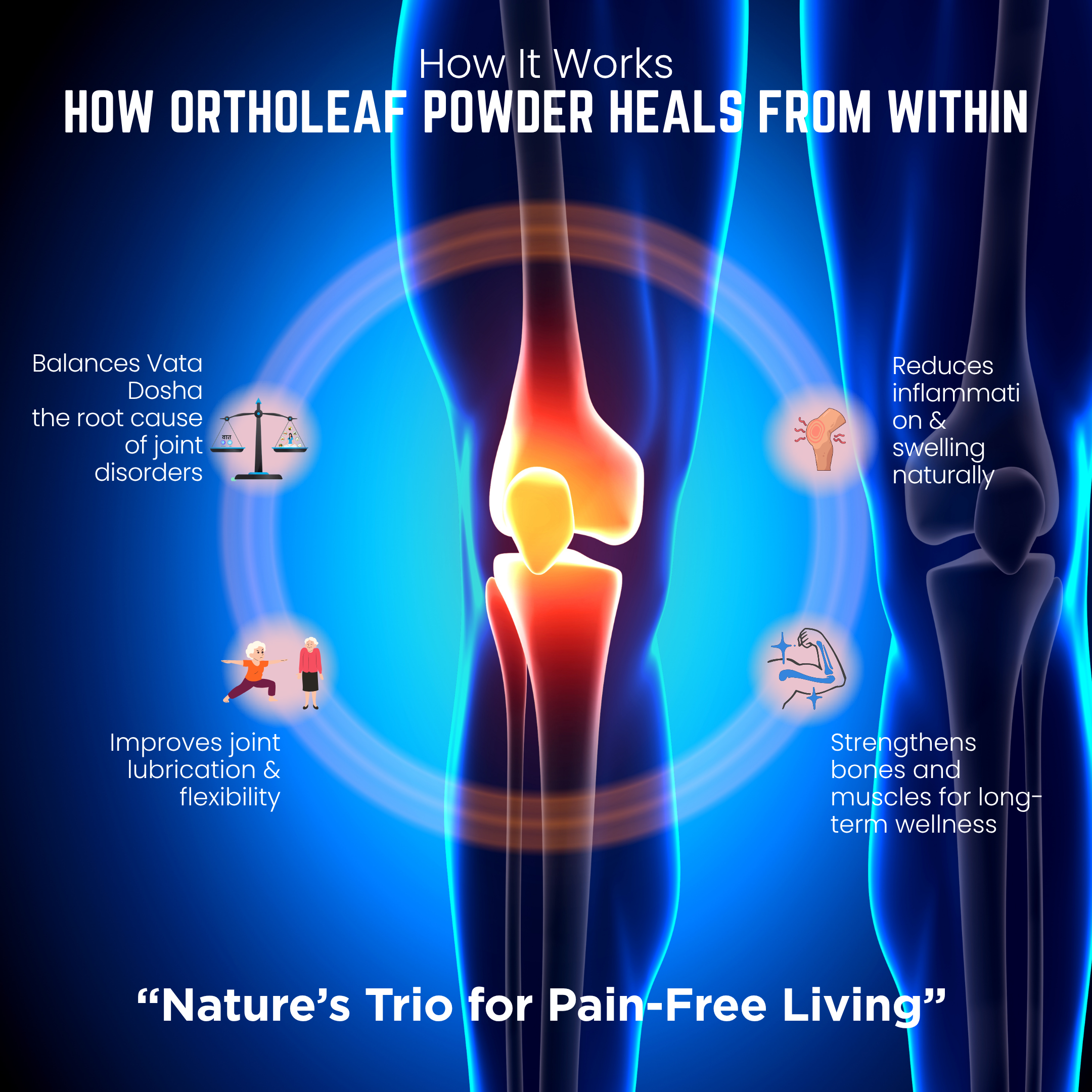 ShreeBhatt Ortholeaf Powder 100 Gm