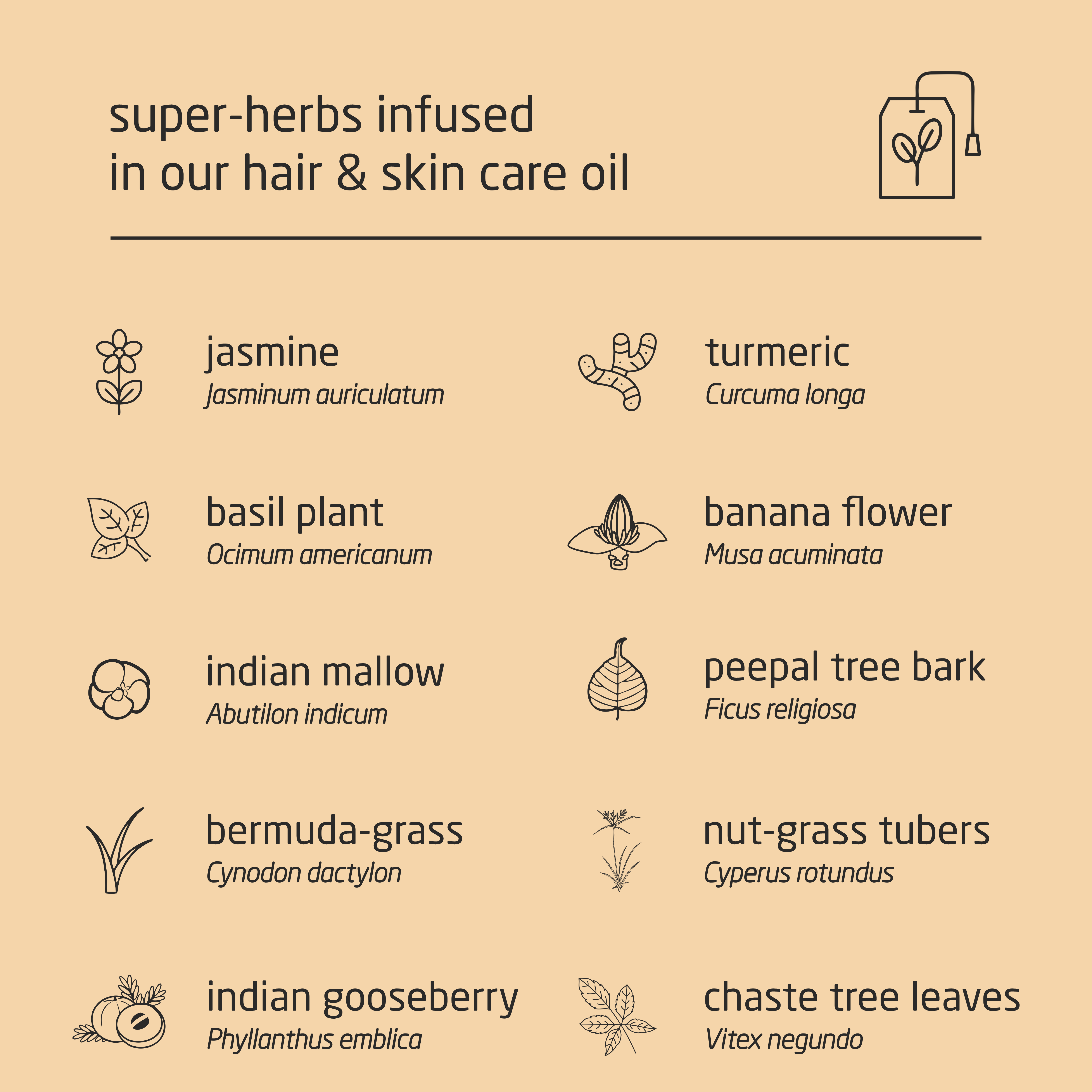 Feel Sattvic Premium Herbal Cold-Infused  Hair & Skin Care Oil - 100ml
