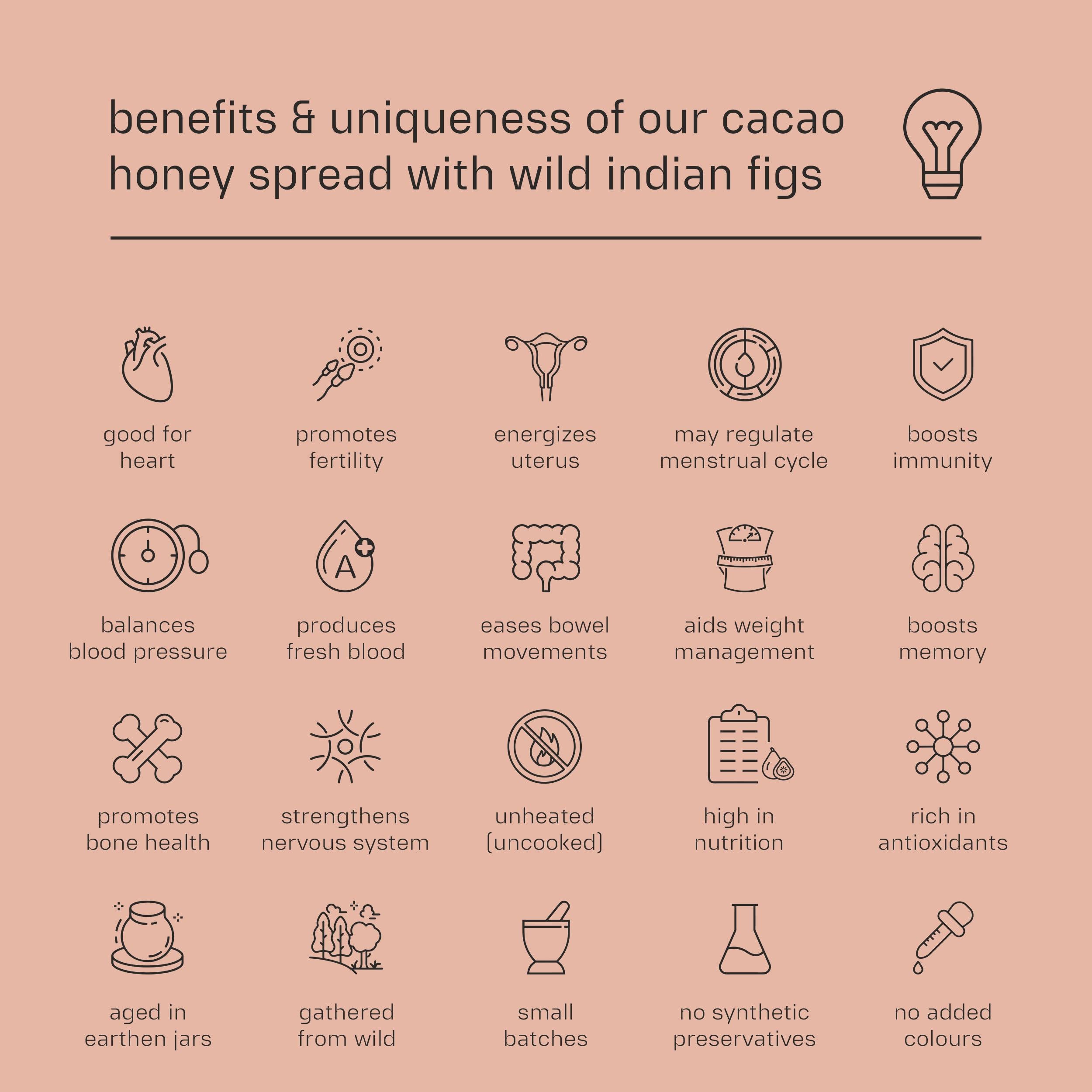Dessy Figgy Premium Cold-Packed Cacao Honey Spread with Wild Indian Figs 250g