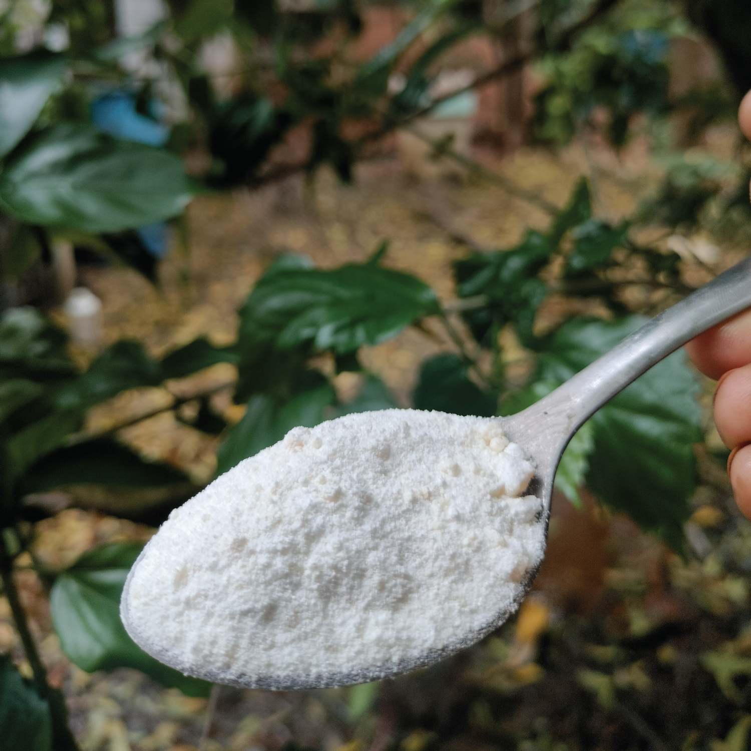 Kamarkattu Ecostore Natural Laundry Powder - 1 K