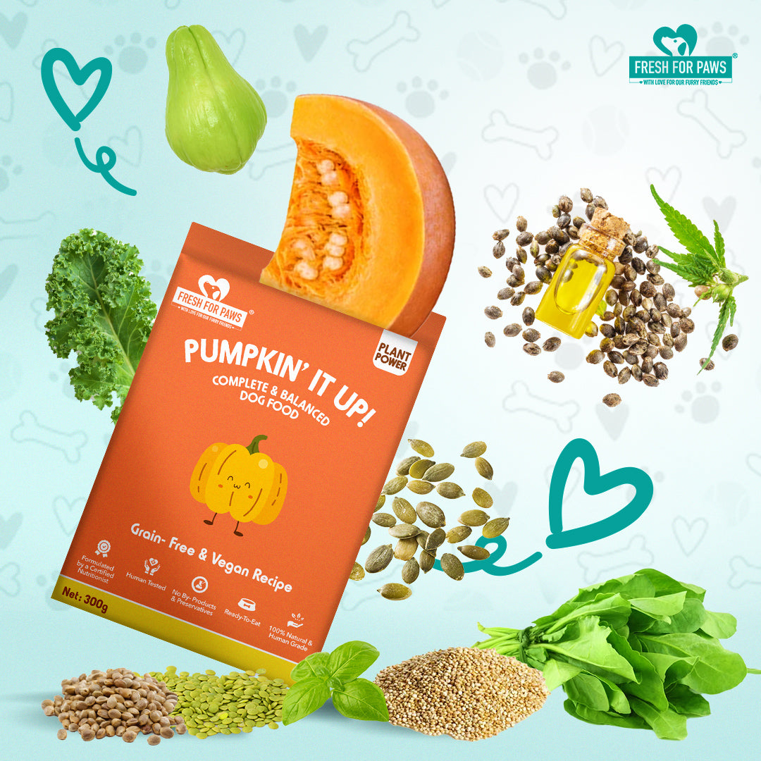 Fresh For Paws Pumpkin' It Up Dog Food