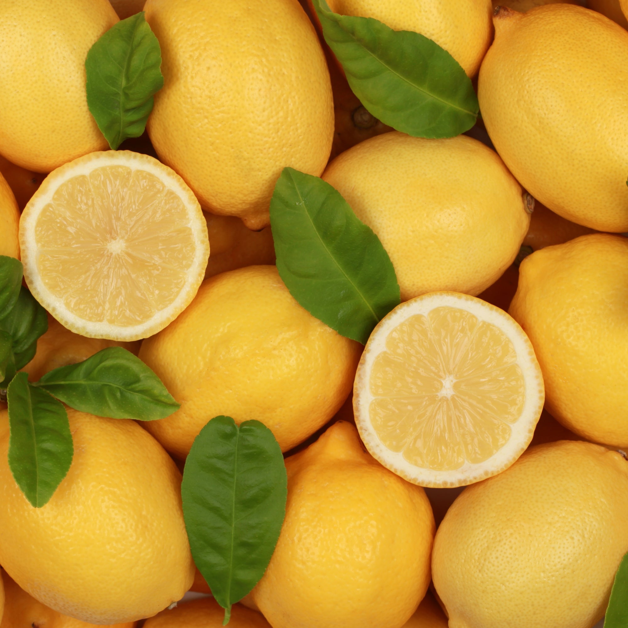Flavours Avenue Lemon Iced-Tea Concentrate, 750ml