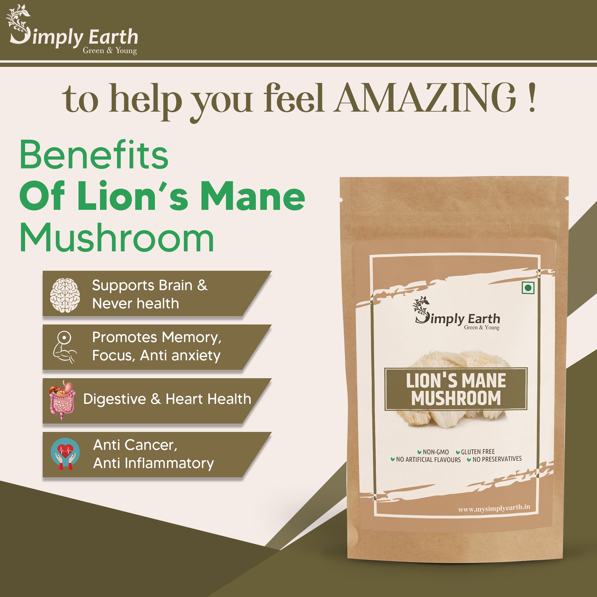 Simply Earth Lion's Mane Mushroom Extract Powder 10:1 - 60GM