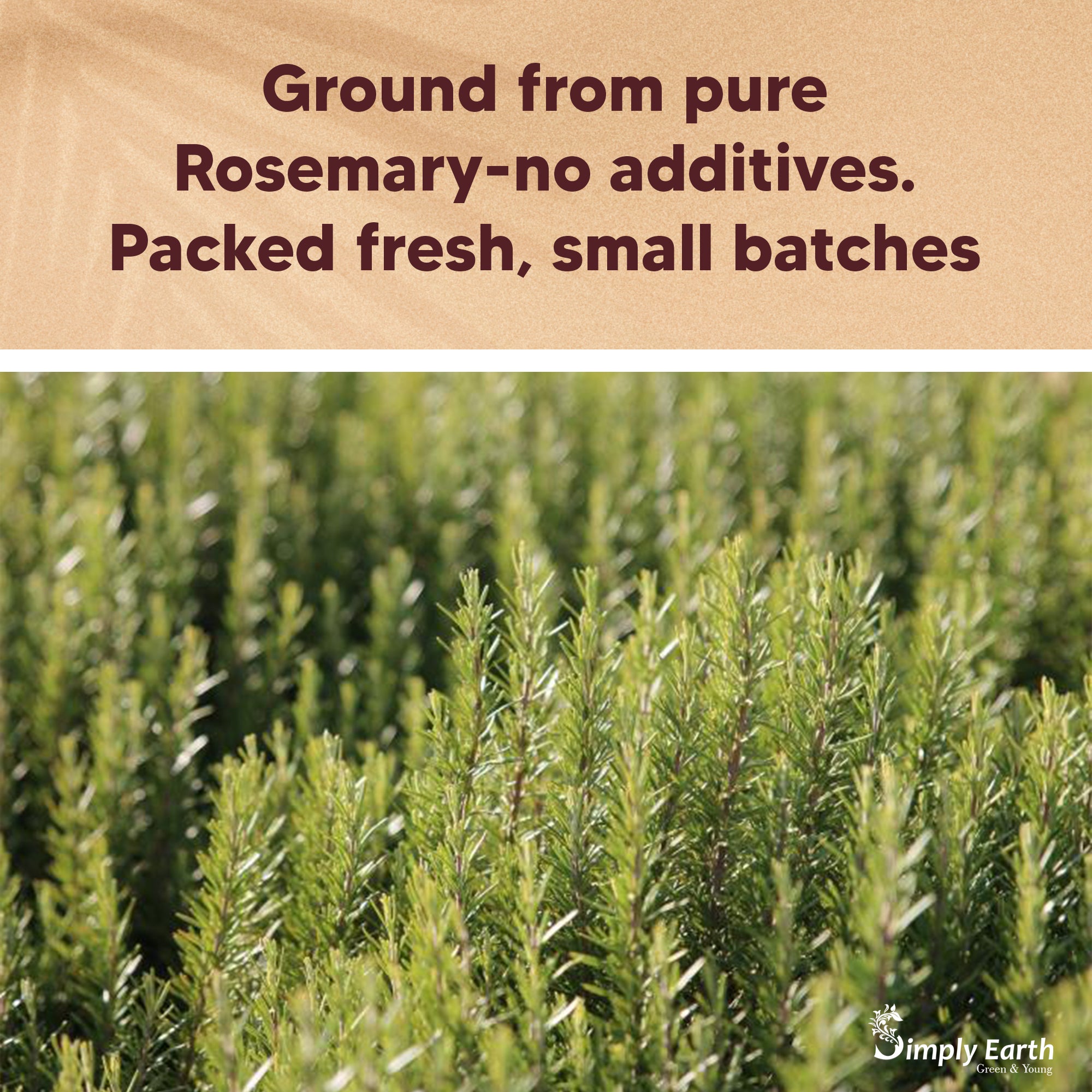 Simply Earth Rosemary Dried Leaves Powder - 100 GM