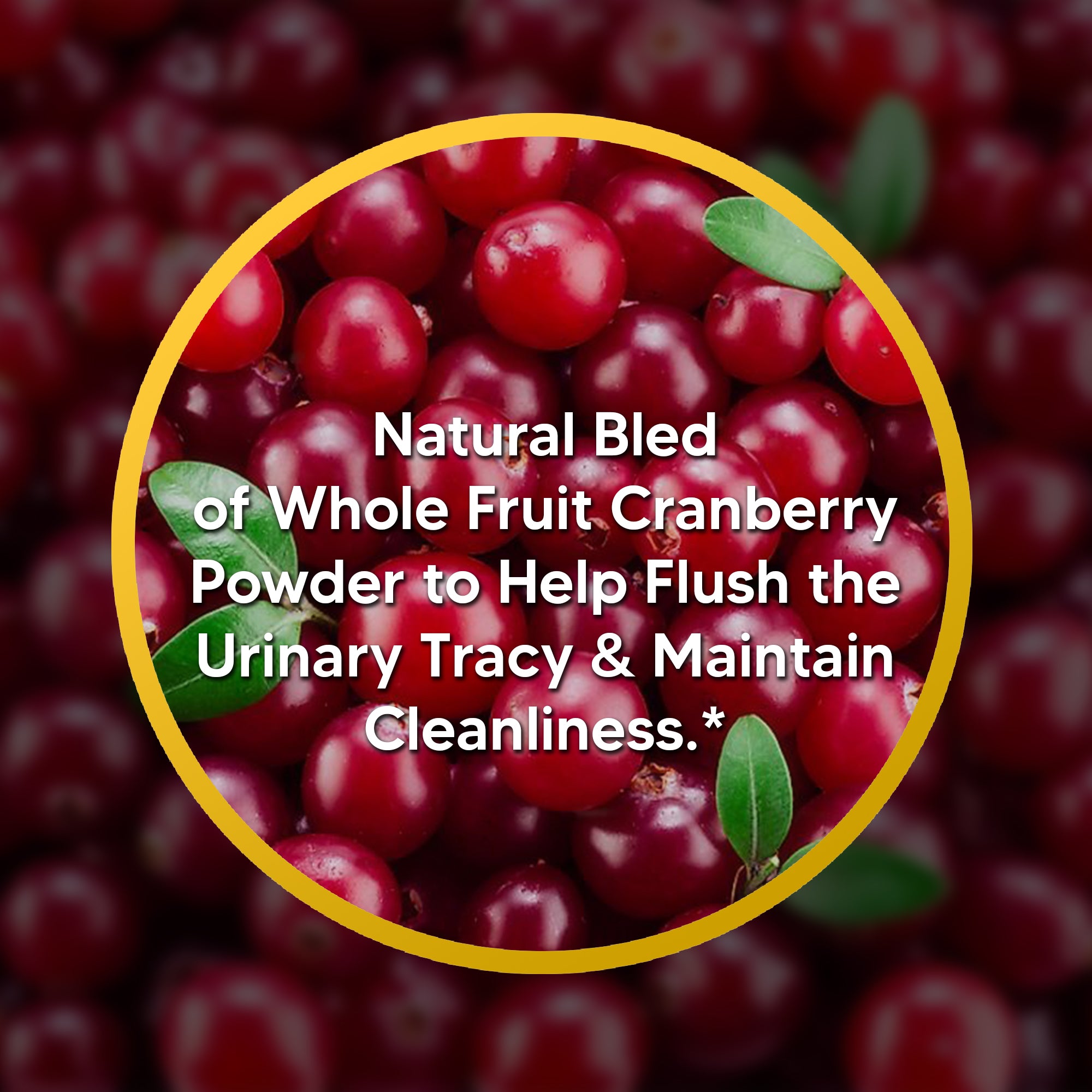 Trufitt Nutrition Trufitt Cranberry + D-Mannose Antioxidant - 60 Capsules