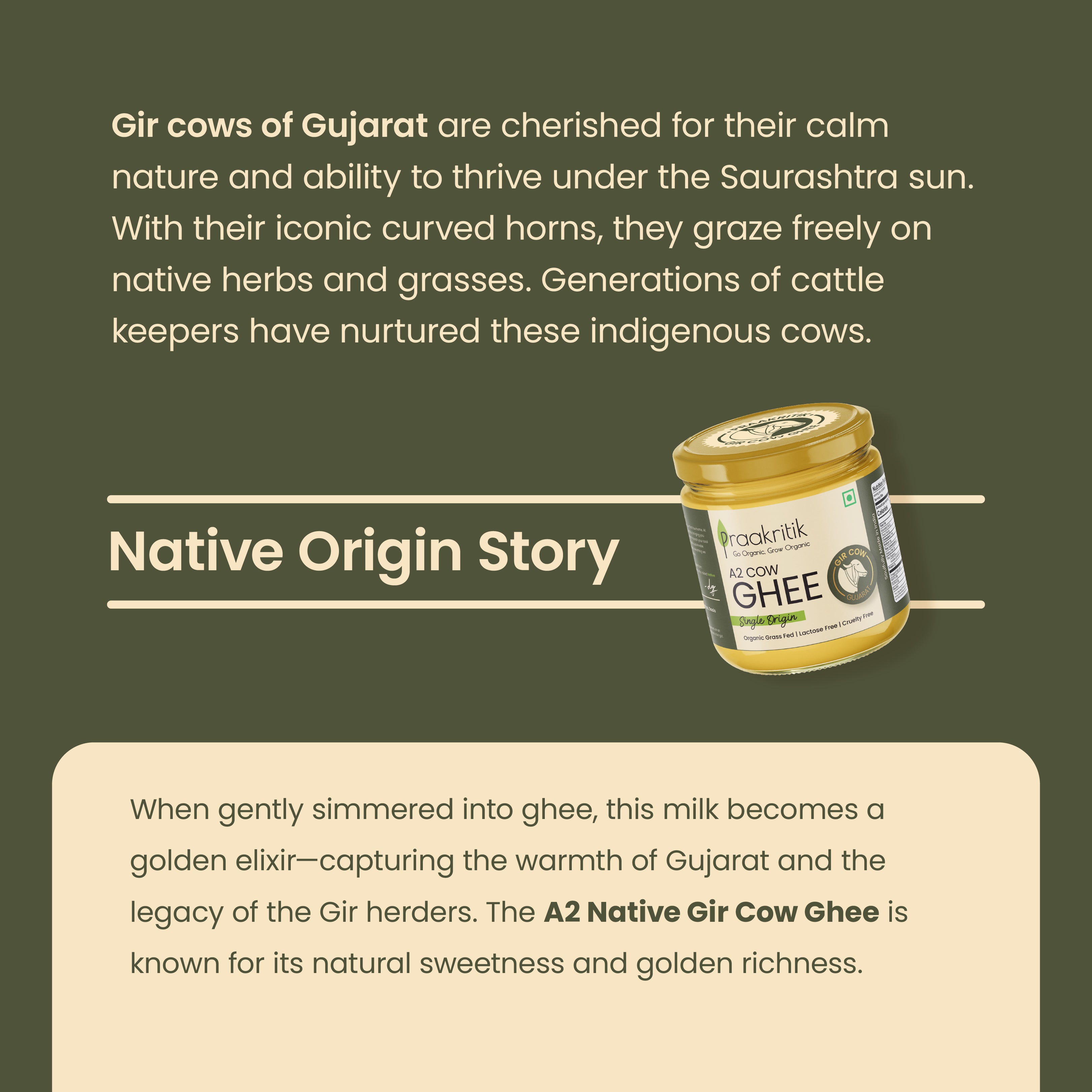 Praakritik A2 Bilona Gir Cow Ghee Vedic Churned