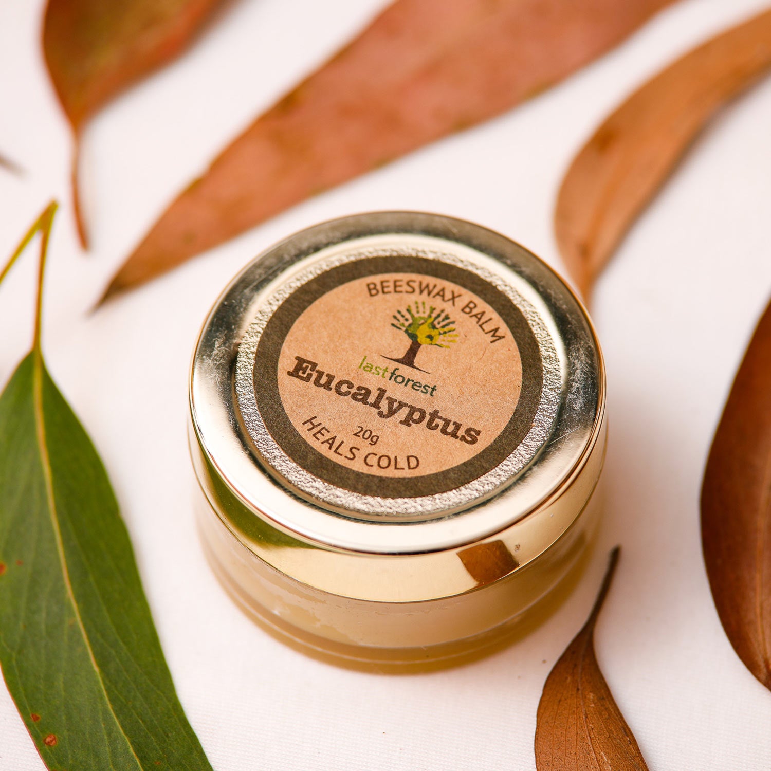 Last Forest Eucalyptus Balm for Cold and Clogged Nose 20g