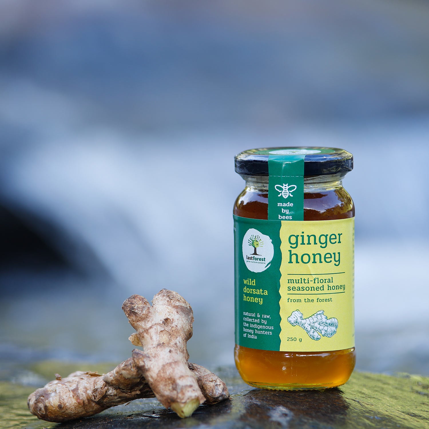 Last Forest Ginger Spiced Wild Honey 250gms