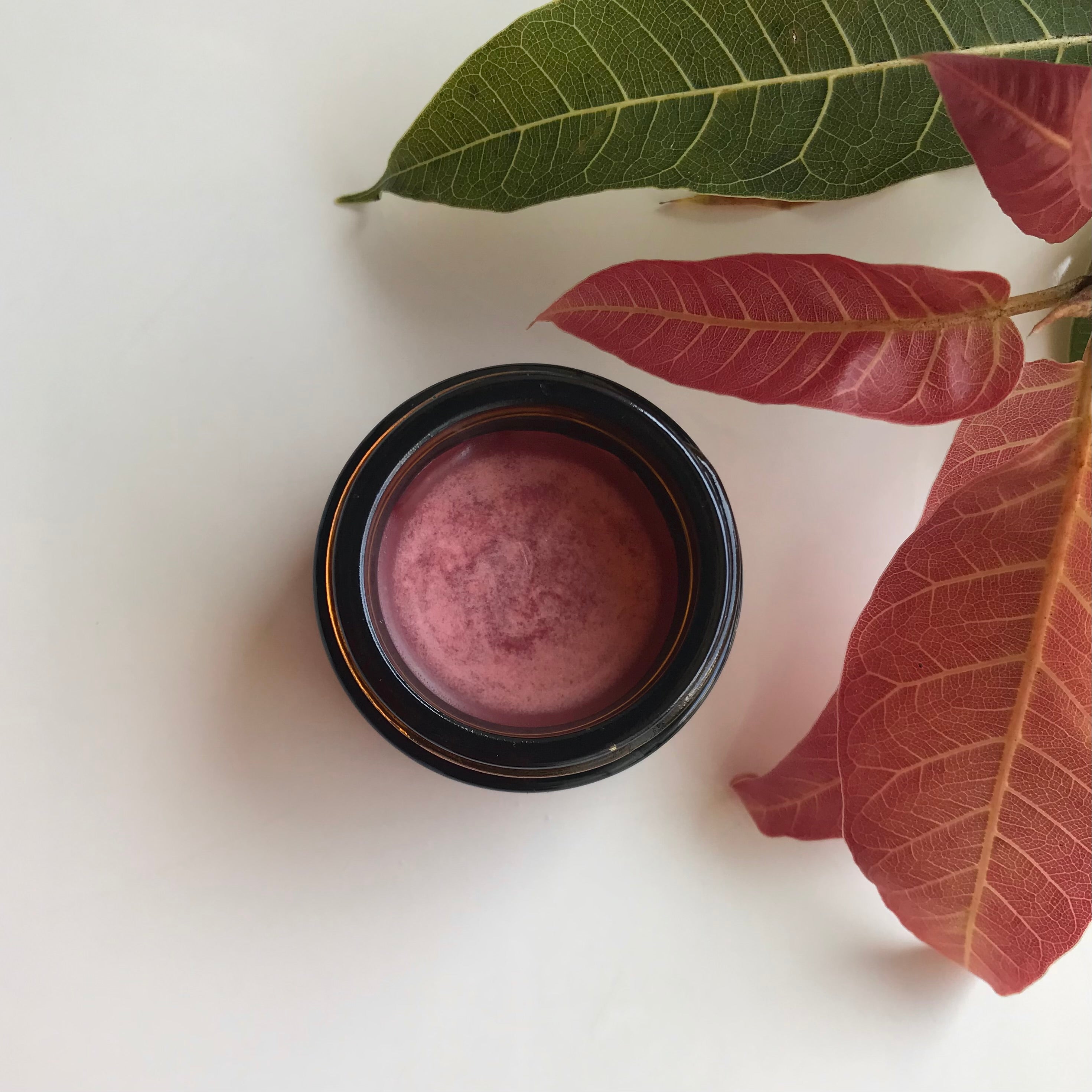 Rawbeauty Wellness Ghee Pout Healing lip balm 10gms