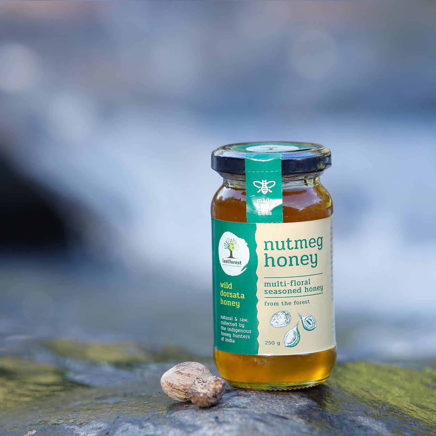 Last Forest Nutmeg Spiced Wild Honey 250gms