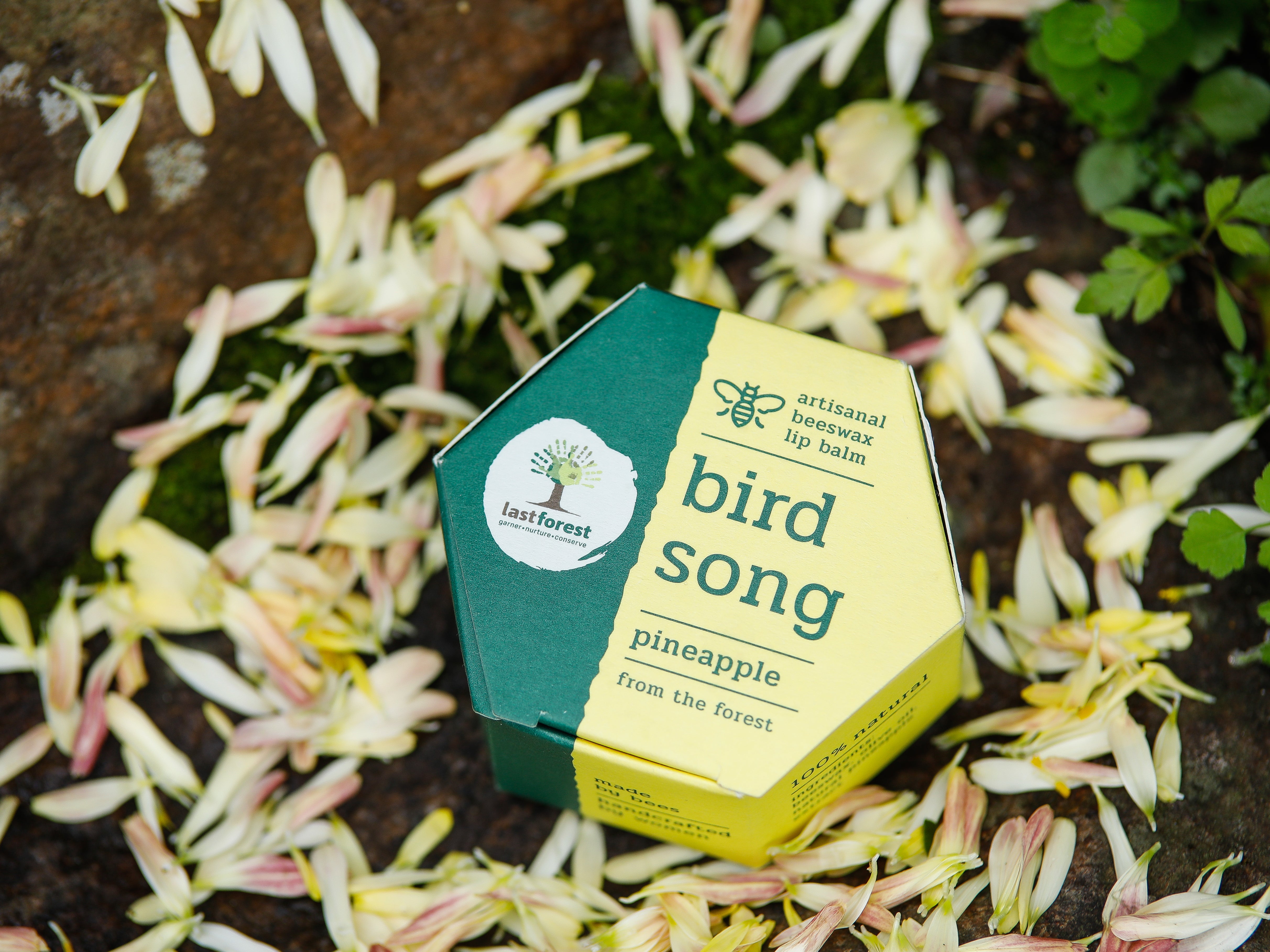 Last Forest Artisanal, Handmade Beeswax Lip Balm Pineapple
