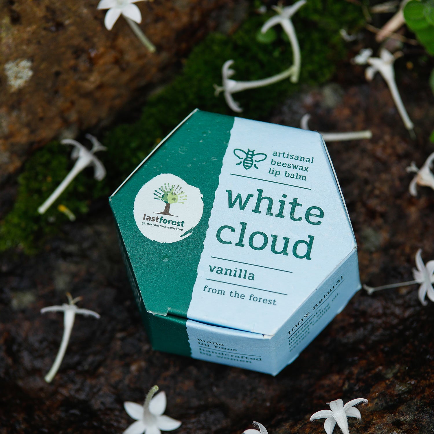 Last Forest Artisanal, Handmade Beeswax Lip Balm Vanilla